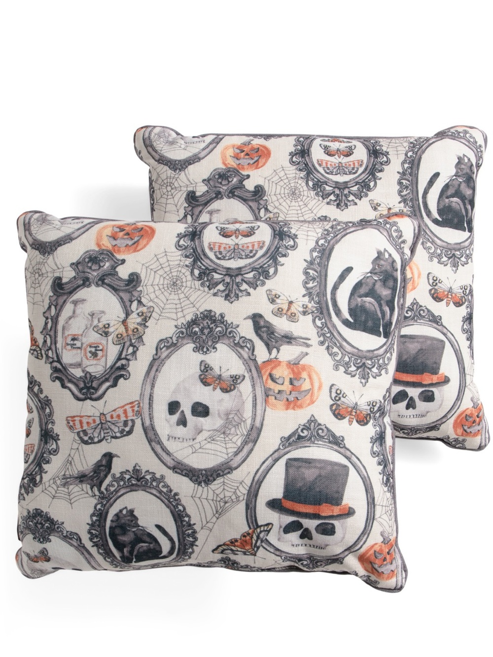 CYNTHIA ROWLEY
2pk 20x20 bespoke vintage frames pillow